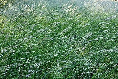 《黑神话：悟空》更新后 Steam近期峰值重回20万